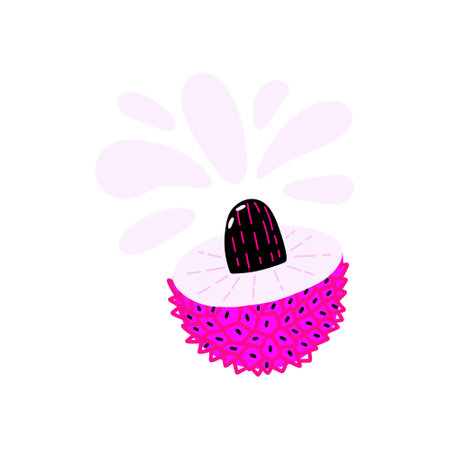 Tropical juicy lychee fruit with a pit in acid colors. hand drawn vectorのイラスト素材