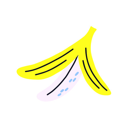 Tropical acid fruit isolated open banana. hand drawn vectorのイラスト素材