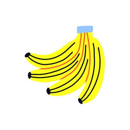 Tropical acid fruit isolated yellow bunch banana. hand drawn vectorのイラスト素材