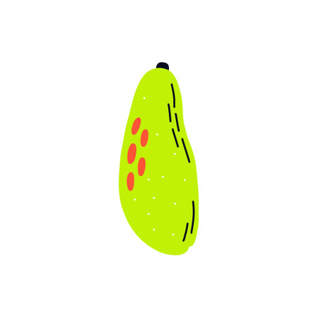 Acid fruit papaya. hand drawn vectorのイラスト素材