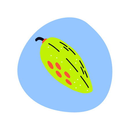 Acid fruit papaya on bright spot. hand drawn vectorのイラスト素材