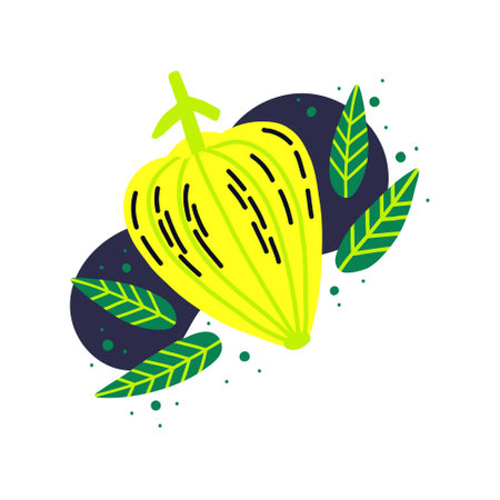 Acid fruit carambola with plant. Hand drawn vector star fruitのイラスト素材