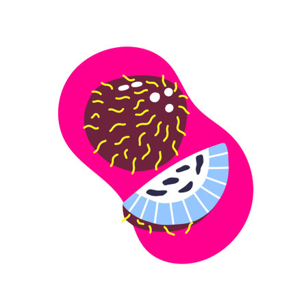 Fruit Coconut with pulp in acid color. Hand drawn vector tropical walnutのイラスト素材