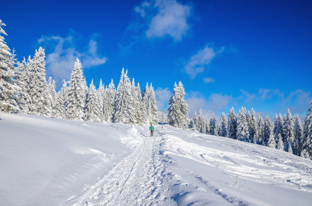 Winter hiking road in mountains covered with snowの写真素材