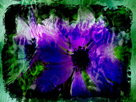 Close up view of grunge purple daisiesの写真素材
