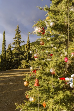 Decorated Christmas tree in the forest at nature background.の写真素材