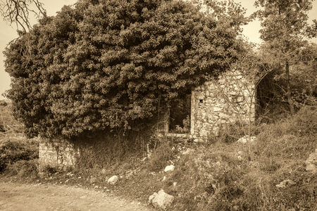 Old abandoned stone-built house in Old Perithia at Pantokrator Mountain, Corfu Island, Greece. Old Perithia is a ghost village on the northern side of Corfu.の写真素材