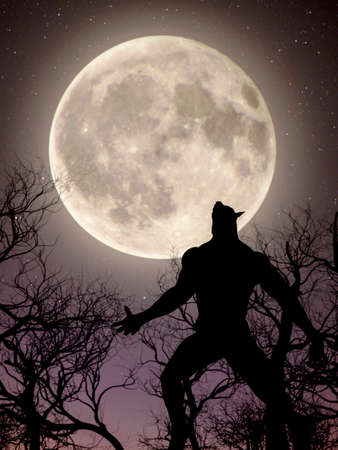 Illustration of a werewolf during the full moon in the creepy forest - 3d renderingの写真素材