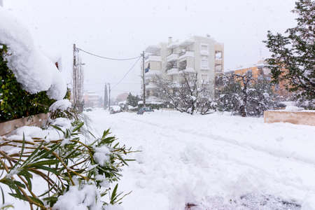 Snow in Vrilissia district, during snow storm in Athens city, capital of Greece, Europeの写真素材