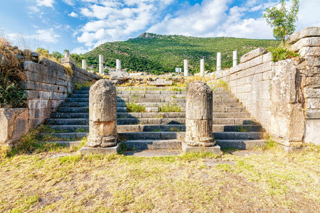 Ruins of the ancient Greek city of Messenia, Peloponnese, Greece. Ancient Messini was founded in 371...