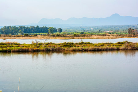 View of Gialova lagoon. The Gialova lagoon is one of the most important wetlands in Europe because...