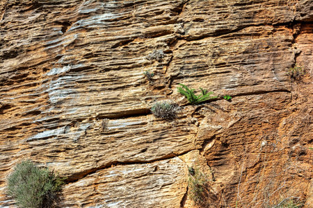 Natural stone surface detailed texture, Penteli mountain, Greece.の写真素材