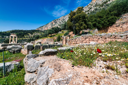 Remains of the Tholos of Athena Pronaia at the Delphi site. The Tholos of Delphi is among the ancient structures of the Sanctuary of Athena Pronaia in Delphi.の写真素材
