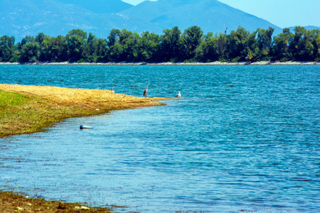 A heron and a seagull stand on the shore of Lake Kerkini in Greece, with trees and mountains in the background.の写真素材