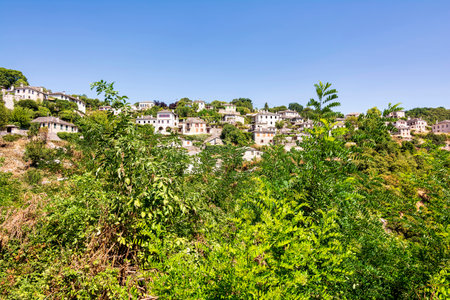 Scenic view of Vitsa village in Zagori, Greece, with traditional stone houses nestled on a lush...