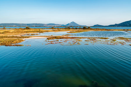 Expansive Gialova Lagoon showcasing vibrant blue waters, patches of wetlands, golden vegetation, and a distant mountain under clear skies.の写真素材