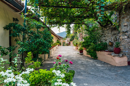 Beautiful flower-filled courtyard of Pantanassa Monastery in Mystras, showcasing vibrant potted...