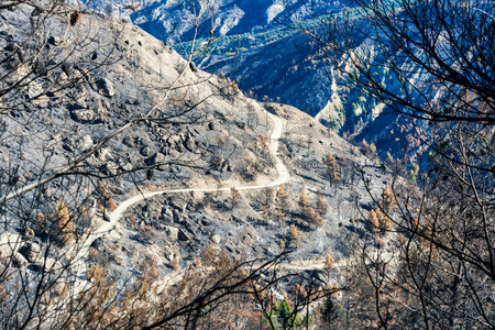 Dry, rugged landscape of Mount Penteli after a wildfire, showing a winding path cutting through scorched terrain and charred trees.の写真素材