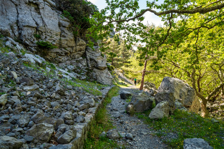 Back view of solitary trekker walking rocky streambed of Agali Gorge on Mt Dirfi, morning light...