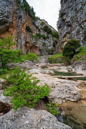 Shallow turquoise pools carve limestone bed beneath towering Saint Luke Gorge cliffs, wooden plank footbridge and spring greenery completing rugged beauty.の写真素材