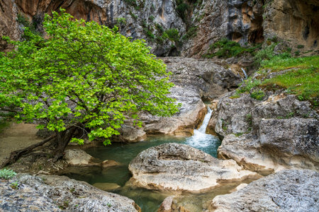 Vibrant plane tree shades turquoise stream cascading through sculpted limestone pools, showcasing Saint Luke Gorge's serene spring wilderness.の写真素材