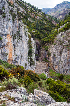 Steep grey limestone walls split to expose narrow Saint Luke Gorge, cascading stream and lush Mediterranean pines framed by foreground wildflowers.の写真素材