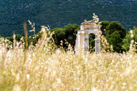 Distant view of the Temple of Asclepius ruins in Epidaurus, framed by tall wild grass and green...