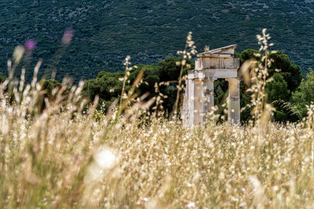 Distant view of the Temple of Asclepius ruins in Epidaurus, framed by tall wild grass and green...