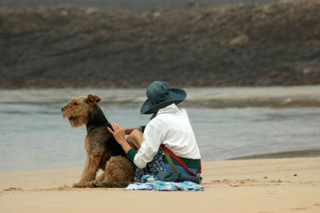 An elderly lady sitting with her Airdale Terrier dog on the beach watching peopleの写真素材