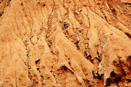 Background of typical dry red African soil in sunshine in South Africaの写真素材