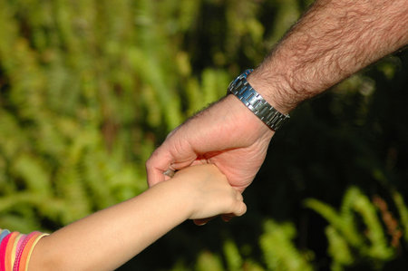 White hands of caucasian father and child holding hands while walking together in the park outdoors の写真素材
