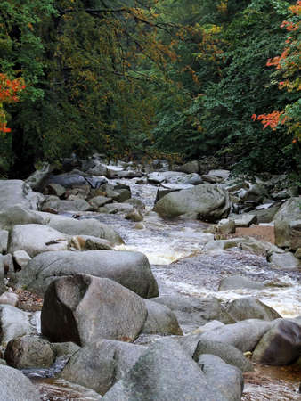 Water flows along a mountain stream (green toned)の写真素材