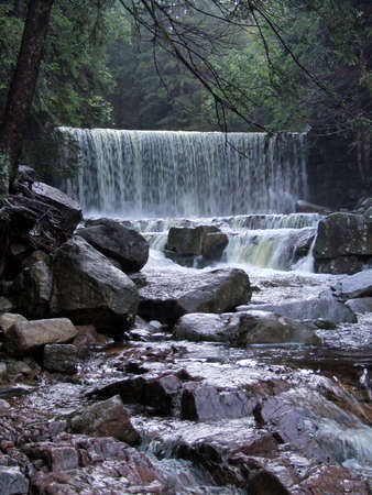 Water flows along a mountain stream (green toned)の写真素材