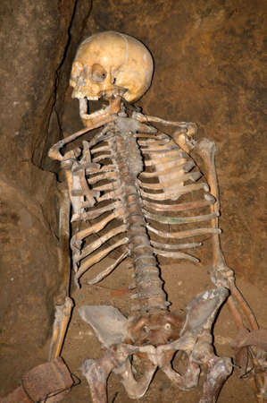 Skeleton in dungeons