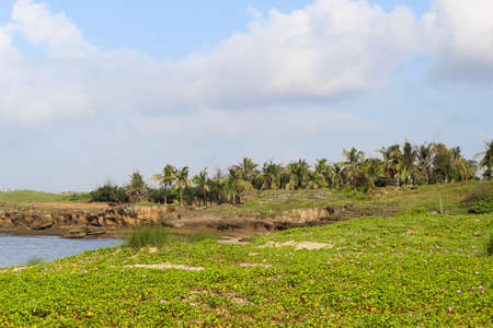 Indian Beach