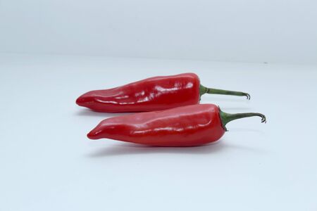 red mirchの写真素材