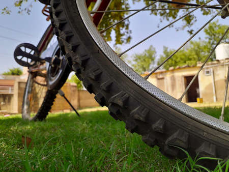 closeup of bicycle tyre standing in home garden and greenery all around it