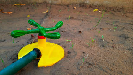 small plastic sprinkler for irrigation of sprouts in gardenの写真素材