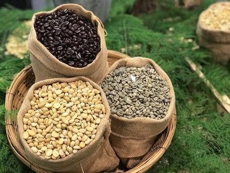 Kinds of coffee beansの素材