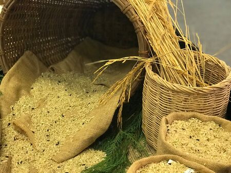 Thai rice