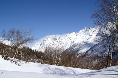 Caucasus Mountains. Dombaj. Winter forestの写真素材