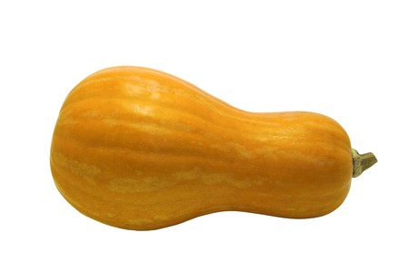 Pumpkin isolated on white backgroundの写真素材