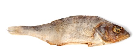 Sundried roach isolated on white background. Close-up view.