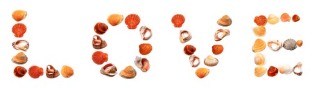 Text LOVE composed of seashells. Isolated on white background.の写真素材