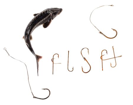 Fresh sterlet and word F I S H composed of old rusty fish hooks. Isolated on white background with copy spaceの写真素材