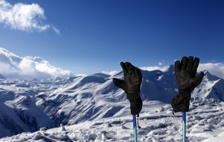 Gloves on ski poles and snowy mountain at sunny dayの写真素材