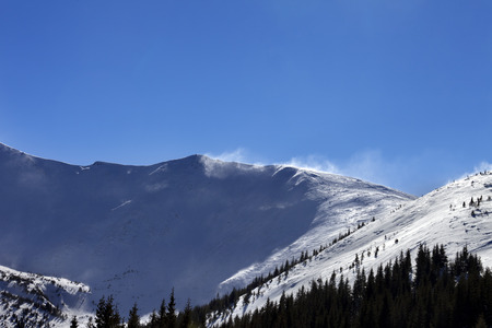 Winter snow mountains at sunny windy day. Ukraine, Carpathian Mountains. Mount Hoverla.