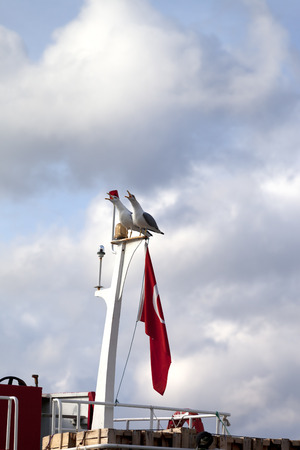 Two seagull on boat mast with Turkish flag at sun cloudy dayの写真素材