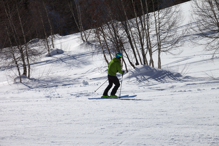 Skier downhill on snowy ski slope with birch trees at sunny winter day. Caucasus Mountains. Hatsvali, Svaneti region of Georgia.の写真素材