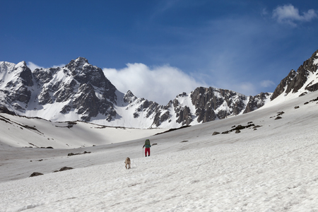 Dog and trekker on snowy plateau in high mountains and blue sky with clouds at sunny day. Turkey, Kachkar Mountains, highest part of Pontic Mountains.の写真素材